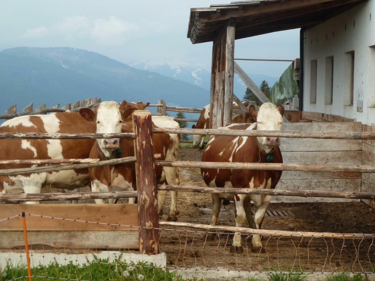 Marerhof Dobbiaco Exterior foto